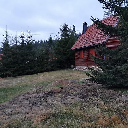 Vila Tijana Mitrovac Extérieur photo