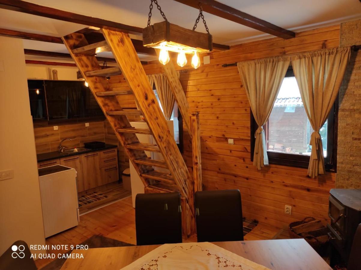 Vila Tijana Mitrovac Extérieur photo
